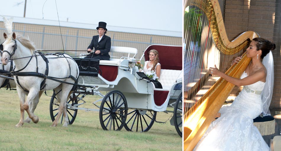 Bride being taken to wedding in horse drawn carriage, bride playing harp